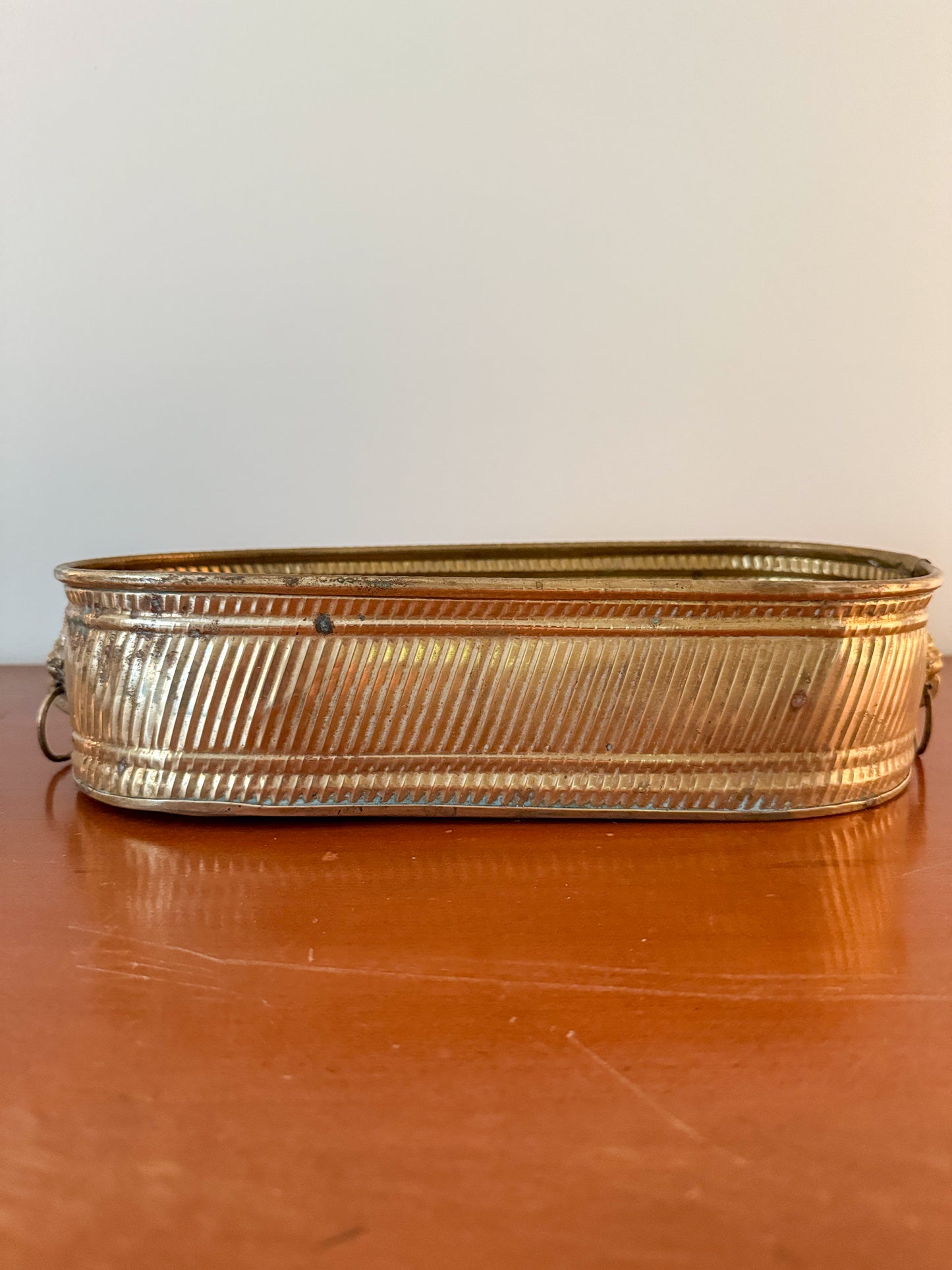 Brass Planter with Lion Heads