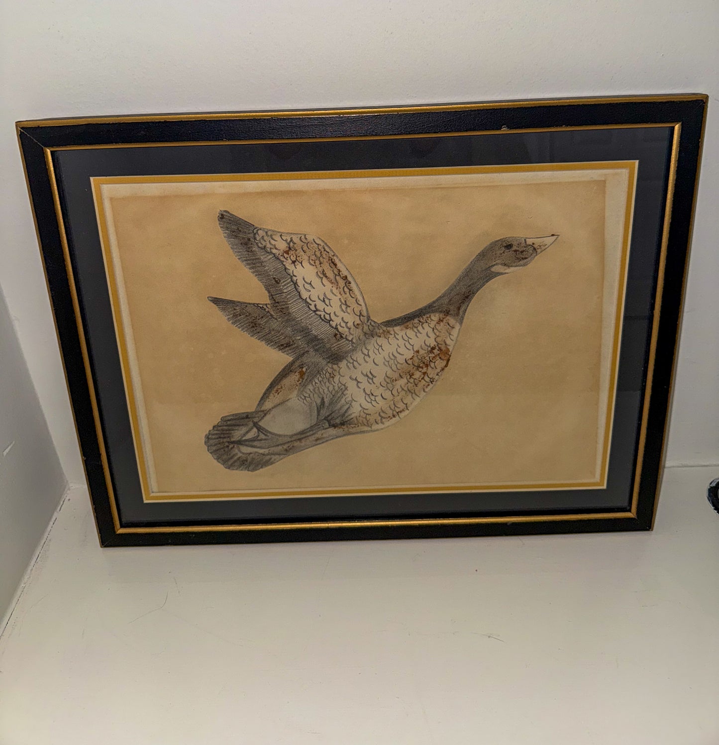 Framed Duck Picture
