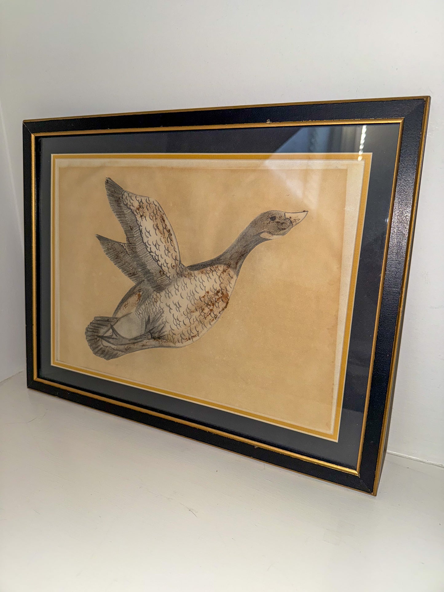 Framed Duck Picture